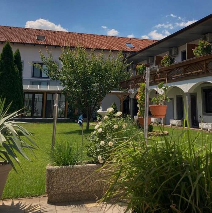 Gaestehaus Und Weinbau Zur Wiederkehr Strudler Подерсдорф-ам-Зе Екстер'єр фото